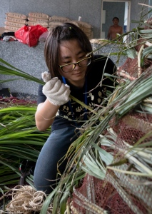 yishuian volunteer putting grass IMG_2572